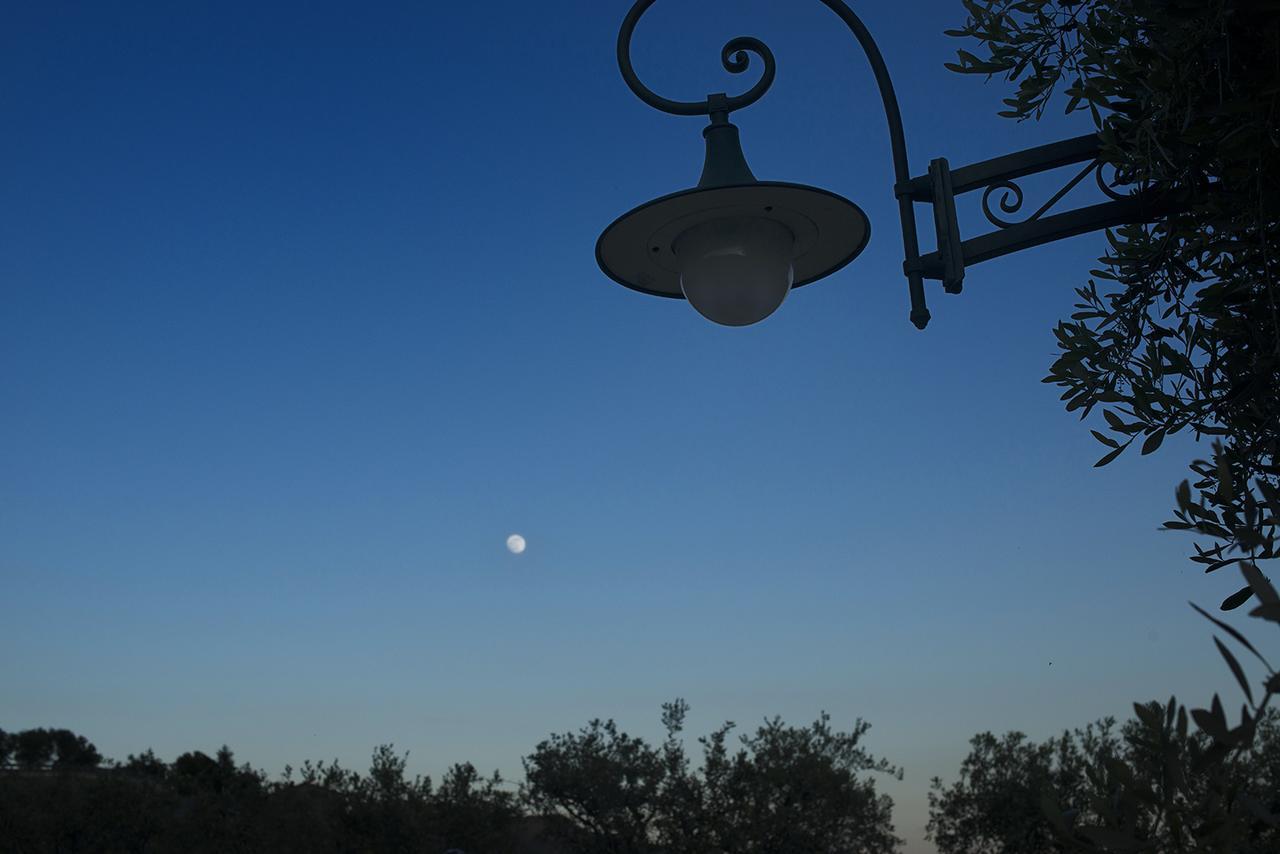 Villa La Pianella Massarosa Luaran gambar
